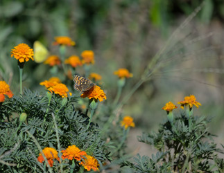 Similar image 21905431