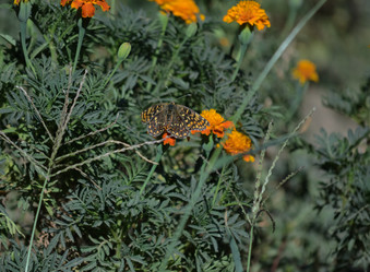 Similar image 21905434