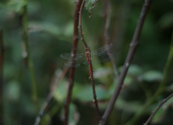 Similar image 21905442