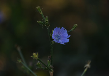 Similar image 21905445