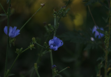 Similar image 21905446