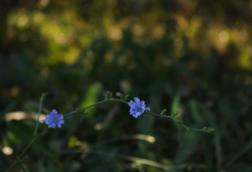 Similar image 21905447