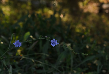 Similar image 21905448