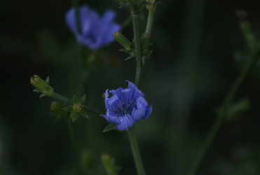 Similar image 21905449