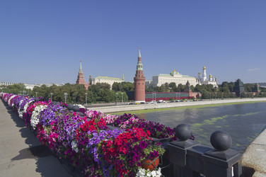 Similar image 21904755