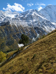 Similar image 21904931