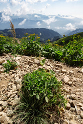 Similar image 21904945