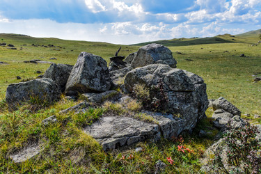 Similar image 21905205