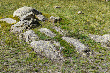 Similar image 21905214