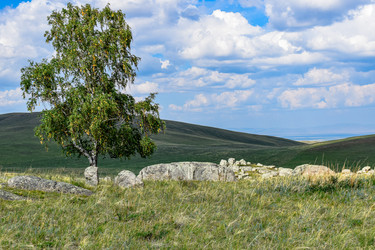 Similar image 21905216