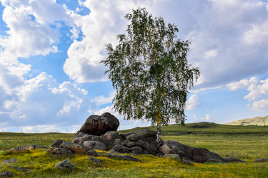 Similar image 21905219