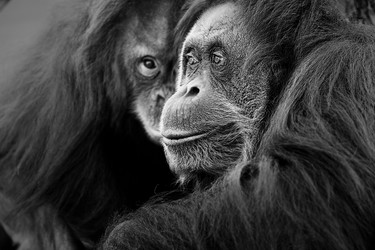 Similar image 21906635