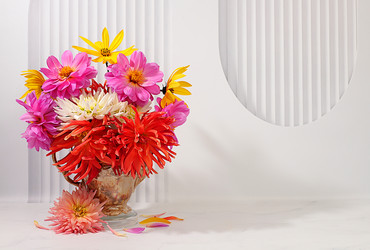 Similar image 21904948