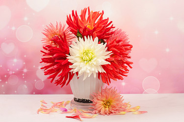 Similar image 21904952