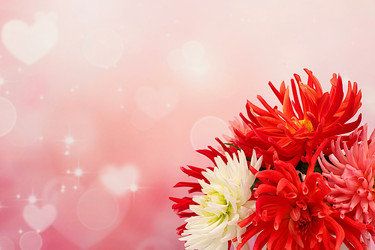 Similar image 21904954