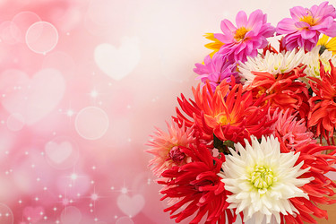 Similar image 21904955