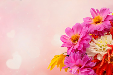 Similar image 21904956