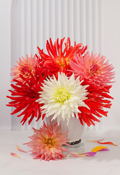 Similar image 21904958