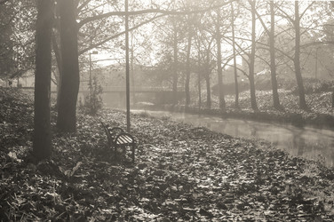 Similar image 21906636