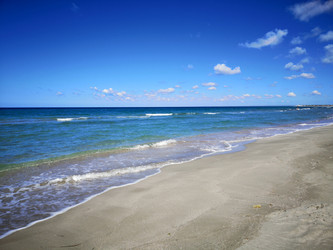 Similar image 21906837