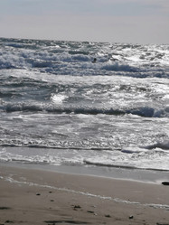 Similar image 21906845