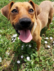 Similar image 21906846