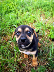 Similar image 21906847