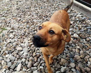 Similar image 21906849