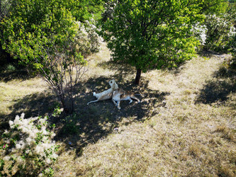 Similar image 21906850