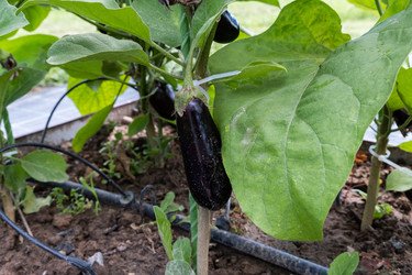 Similar image 21904762