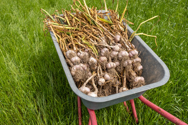 Similar image 21904763