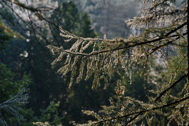 Similar image 21905281