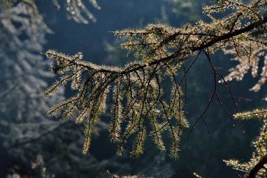 Similar image 21905284