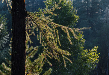 Similar image 21905285