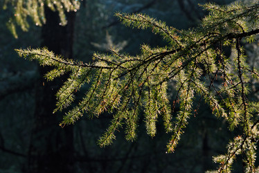 Similar image 21905286