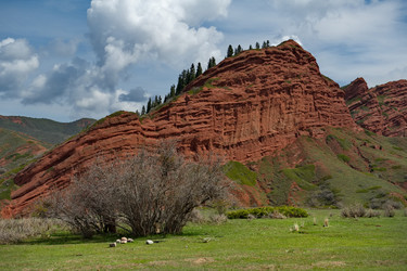 Similar image 21905290