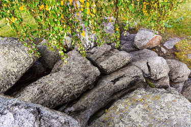 Similar image 21905298