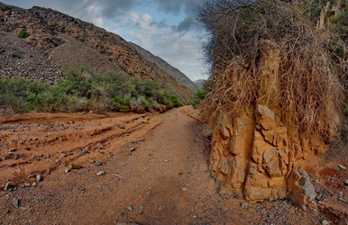 Similar image 21905300