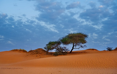 Similar image 21907975