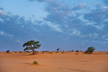 Similar image 21907976