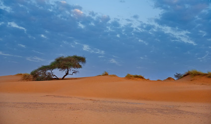 Similar image 21907977