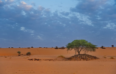 Similar image 21907978