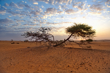 Similar image 21907979