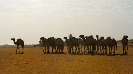 Similar image 21907980