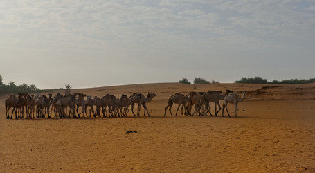 Similar image 21907981