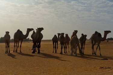 Similar image 21907982