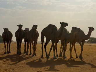 Similar image 21907983