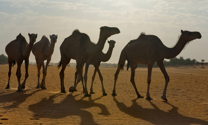 Similar image 21907984