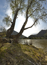 Similar image 21907990