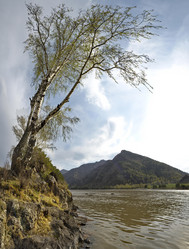 Similar image 21907992